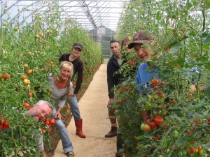 Pattison Farms staff in the greenhouse