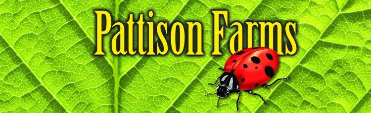 Pattison Farms Logo